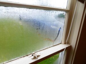 photo shows indoor humidity