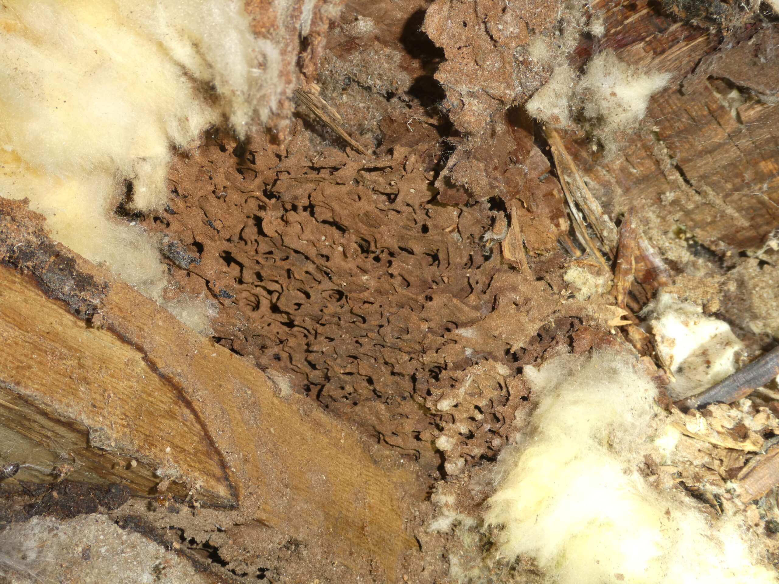 P1120417