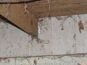 photo shows joist hangers nailed into the siding