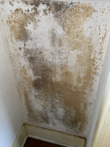 Mold 1920s