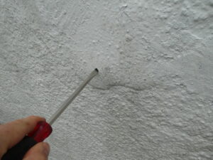 P1130901